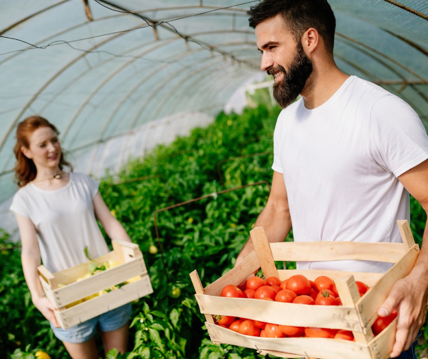 Fruits et Légumes certifiés Haute Valeur Environnementale (HVE), Rainforest Alliance et Label Rouge
