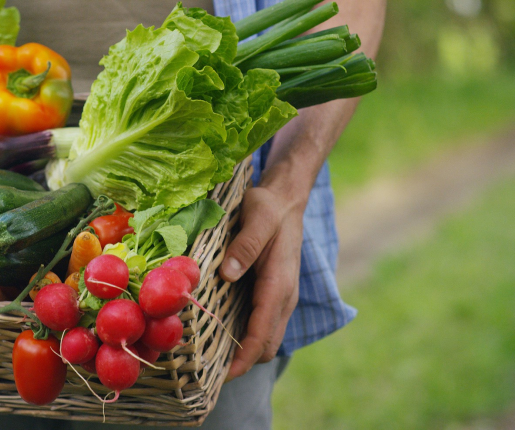 Légumes frais d'exception aux Vergers de Cormeilles à Cormeilles en Parisis près d'Argenteuil - Val d'Oise (95)